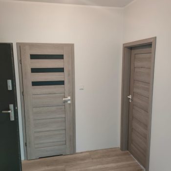 Nevada 03 i 00 Silver